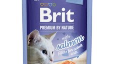 BRIT Premium by Nature Somon Delicat pentru Pisici, Plic Hrană Umedă în Aspic, 85g