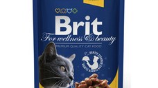 BRIT Premium, Pui și Curcan, plic hrană umedă pisici, (în sos), 100g