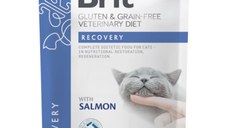 BRIT VD Recovery, Somon, dietă veterinară, plic hrană umedă fără cereale pisici, convalescență, (în sos), 85g
