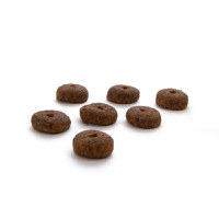 CANAGAN Dental Small Breed, XS-S, Curcan, hrană uscată fără cereale câini junior & adult, sensibilități dentare, 2kg - 3