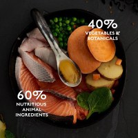 CANAGAN Scottish Salmon, XS-XL, Somon, hrană uscată fără cereale câini junior & adult, 12kg - 4