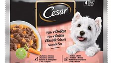CESAR Selecții Mixte, 2 Arome, Hrană Umedă în Sos, Pachet de 4 x 100g