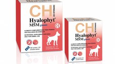 CHEMICAL IBERICA Hyalophyt MSM Giants, supliment sistem articular câini, comprimate CHEMICAL IBERICA Hyalophyt MSM Giants, L-XL, supliment sistem articular câini, cutie, 30 comprimate