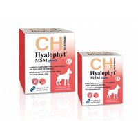 CHEMICAL IBERICA Hyalophyt MSM Giants, supliment sistem articular câini, comprimate CHEMICAL IBERICA Hyalophyt MSM Giants, L-XL, supliment sistem articular câini, cutie, 30 comprimate - 2