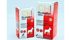 CHEMICAL IBERICA Hyalophyt MSM Medium, supliment sistem articular câini, comprimate CHEMICAL IBERICA Hyalophyt MSM Medium, M, supliment sistem articular câini, cutie, 120 comprimate