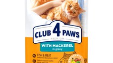 CLUB 4 PAWS, Macrou, plic hrană umedă pisici, (în sos), 85g