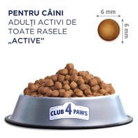 CLUB 4 PAWS Premium Active, Pui, hrană uscată câini, activitate intensă CLUB 4 PAWS Premium Active, XS-XL, Pui, hrană uscată câini, activitate intensă, 14kg - 2