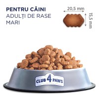 CLUB 4 PAWS Premium, L-XL, Pui, hrană uscată câini, 14kg - 6