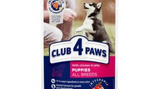 CLUB 4 PAWS Premium Puppy, Pui, hrană umedă câini junior, (în aspic) CLUB 4 PAWS Premium Junior, XS-XL, Pui, plic hrană umedă câini junior, (în aspic), 100g