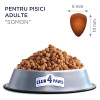 CLUB 4 PAWS Premium, Somon, hrană uscată pisici, 14kg - 4