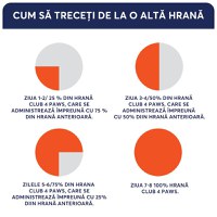 CLUB 4 PAWS Premium, Vită, hrană umedă pisici, Vită, (în sos) CLUB 4 PAWS Premium, Vită, plic hrană umedă pisici, (în sos), 100g - 2