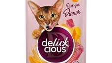 DELICKCIOUS Rață și Dovleac pentru Pisici, Hrană Umidă în Supă, 85g