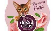 DELICKCIOUS Supă cu Pui și Șuncă pentru Pisici, 80g