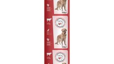 DOG JOY Salam cu Vită pentru Câini, Dimensiuni XS-XL, 900g - Hrană Umedă Delicioasă