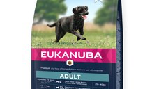 EUKANUBA Adult Large Breed, L-XL, Pui, hrană uscată câini, 15kg