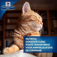 Hill's PD Feline k/d - Afectiuni Renale, 156 g - 3