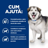 HILL'S Prescription Diet c/d Urinary + Weight Care + Metabolic, Pui, dietă veterinară câini, hrană uscată, afecțiuni urinare și metabolice HILL'S Prescription Diet c/d Urinary + Weight Care + Metabolic, Pui, dietă veterinară câini, hrană uscată, sistem u - 11