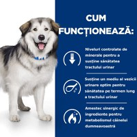 HILL'S Prescription Diet c/d Urinary + Weight Care + Metabolic, Pui, dietă veterinară câini, hrană uscată, afecțiuni urinare și metabolice HILL'S Prescription Diet c/d Urinary + Weight Care + Metabolic, Pui, dietă veterinară câini, hrană uscată, sistem u - 6