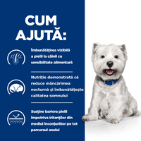 HILL'S Prescription Diet Derm Complete Mini, dietă veterinară câini, hrană uscată, afecțiuni dermatologice HILL'S Prescription Diet Derm Complete Mini, dietă veterinară câini, hrană uscată, piele & blana, 1kg - 11