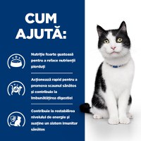 HILL'S Prescription Diet i/d Sensitive Digestive Care, Pui, dietă veterinară pisici, hrană uscată, sensibilități digestive HILL'S Prescription Diet i/d Sensitive Digestive Care, Pui, dietă veterinară pisici, hrană uscată, sistem digestiv, 8kg - 10