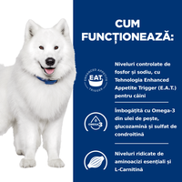 HILL'S Prescription Diet k/d+j/d Kidney Care + Mobility, dietă veterinară câini, hrană uscată, afecțiuni renale și articulare HILL'S Prescription Diet k/d+j/d Kidney Care + Mobility, dietă veterinară câini, hrană uscată, sistem renal, sistem articular, 1 - 10