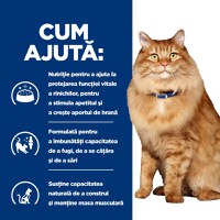 HILL'S Prescription Diet k/d+j/d Kidney Care + Mobility, Pui, dietă veterinară pisici, hrană uscată, afecțiuni renale și articulare HILL'S Prescription Diet k/d+j/d Kidney Care + Mobility, Pui, dietă veterinară pisici, hrană uscată, sistem renal, sistem - 9