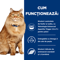 HILL'S Prescription Diet k/d+j/d Kidney Care + Mobility, Pui, dietă veterinară pisici, hrană uscată, afecțiuni renale și articulare HILL'S Prescription Diet k/d+j/d Kidney Care + Mobility, Pui, dietă veterinară pisici, hrană uscată, sistem renal, sistem - 10