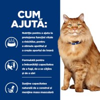 HILL'S Prescription Diet k/d+j/d Kidney Care + Mobility, Pui, dietă veterinară pisici, plic hrană umedă, sistem renal, sistem articular, 85g x 12buc - 5