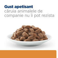 HILL'S Prescription Diet k/d+j/d Kidney Care + Mobility, Pui, dietă veterinară pisici, plic hrană umedă, sistem renal, sistem articular, 85g x 12buc - 4