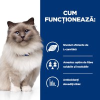 HILL'S Prescription Diet r/d Wheight Loss, Pui, dietă veterinară pisici, hrană uscată, scădere în greutate HILL'S Prescription Diet r/d Wheight Loss, Pui, dietă veterinară pisici, hrană uscată, metabolism (obezitate si diabet), 3kg - 8