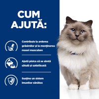 HILL'S Prescription Diet r/d Wheight Loss, Pui, dietă veterinară pisici, hrană uscată, scădere în greutate HILL'S Prescription Diet r/d Wheight Loss, Pui, dietă veterinară pisici, hrană uscată, metabolism (obezitate si diabet), 3kg - 10