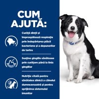 HILL'S Prescription Diet t/d Dental Care, Pui, dietă veterinară câini, hrană uscată, afecțiuni dentare HILL'S Prescription Diet t/d Dental Care, Pui, dietă veterinară câini, hrană uscată, sensibilități dentare, 10kg - 6