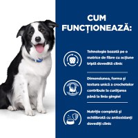 HILL'S Prescription Diet t/d Dental Care, Pui, dietă veterinară câini, hrană uscată, afecțiuni dentare HILL'S Prescription Diet t/d Dental Care, Pui, dietă veterinară câini, hrană uscată, sensibilități dentare, 10kg - 5