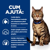HILL'S Prescription Diet t/d Dental Care, Pui, dietă veterinară pisici, hrană uscată, afecțiuni dentare HILL'S Prescription Diet t/d Dental Care, Pui, dietă veterinară pisici, hrană uscată, sensibilități dentare, 3kg - 6