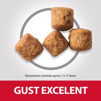 Hill's SP Canine Mature Large Breed Pui, Value Pack, 18 Kg - 2