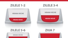 Hill's SP Canine Mature Large Breed Pui, Value Pack, 18 Kg