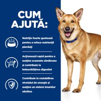 HILL'Sss Prescription Diet i/d Digestive Care, Pui, dietă veterinară câini, hrană uscată, sensibilități digestive HILL'S Prescription Diet i/d Digestive Care, Pui, dietă veterinară câini, hrană uscată, sistem digestiv, 12kg - 7