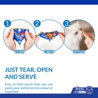 INABA Churu Fun Bites, Pui și dovleac, cutie recompense fără cereale pisici, 96g - 6