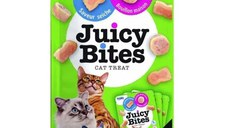 INABA Juicy Bites Homestyle Broth & Calamari Flavor, Calamar, plic recompense fără cereale pisici, 33.9g