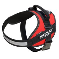 JULIUS-K9 IDC Power Single Colored, ham câini JULIUS-K9 IDC Power, ham câini, 2XS, 2-5kg, roșu - 1