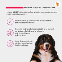 Lesa Retractabila Kong Terrain S, 5m-20 Kg, Albastru - 8