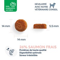 MARLY&DAN Adult Medium Breed, M, Somon, hrană uscată fără cereale câini, 4kg - 3