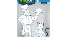 MASTER, Pește, plic hrană umedă pisici, (în sos), 80g