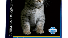 MATISSE Kitten, Pui, hrană uscată pisici junior, 10kg