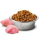 N&D Pumpkin Neutered, Miel și dovleac, hrană uscată fără cereale pisici sterilizate, 1.5kg - 3