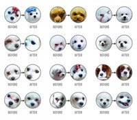 NATURES PROTECTION Superior Care White Dogs Junior Small&Mini, Pește Alb, hrană uscată fără cereale câini juniori, reducerea petelor la câinii albi NATURES PROTECTION Superior Care White Dogs Junior XS - S, Pește Alb, hrană uscată fără cereale câini juni - 3