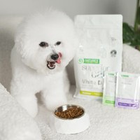 NATURES PROTECTION Superior Care White Dogs, XS-XL, Ton și Pește alb, plic hrană umedă câini, (topping), 70g - 6