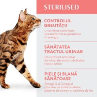 OPTIMEAL Sterilised, Vită cu Sorg, hrană uscată pisici sterilizate OPTIMEAL Sterilised, Vită, hrană uscată pisici sterilizate, 1.5kg - 2