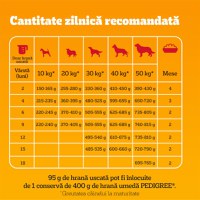 PEDIGREE Junior, M-XL, Pasăre și Legume, hrană uscată câini junior, 12kg - 6