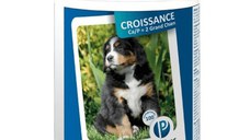 PET PHOS Croissance Grand Chien Ca/P=2, L-XL, supliment sistem osos câini junior, flacon, 100 comprimate